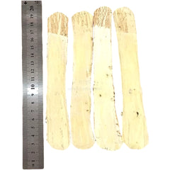 黄芪 Huang Qi Astragalus Root