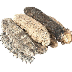 HMT South America Mexican Sea Cucumbers Dried 400g Shuang Pai
