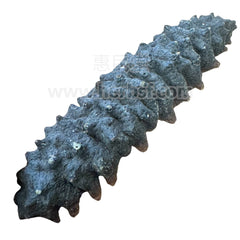 Australian Black Sea Cucumbers 400g