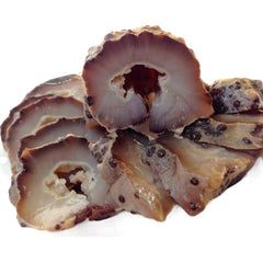 HMT South America Mexican Sea Cucumbers Dried 200g Shuang Pai