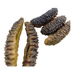 惠民堂 海參 龍尾參 龍紋參 純淡幹 螺紋參 黑刺參 長刺 泡髮率高 口感彈牙 幹貨 400克