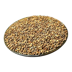 惠民堂 紫苏子 苏子 100克