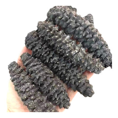 惠民堂 海參 龍尾參 龍紋參 純淡幹 螺紋參 黑刺參 長刺 泡髮率高 口感彈牙 幹貨 400克