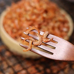 惠民堂 蝦米 金鉤海米 8A 100克 蝦皮 幹淨 淡幹 海鮮