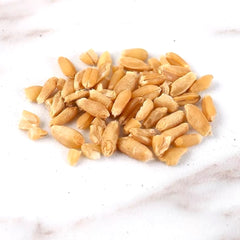 HMT Fu Xiao Mai Blighted Wheat Fructus Tritici Levis 200g