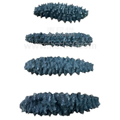 Australian Black Sea Cucumbers 400g