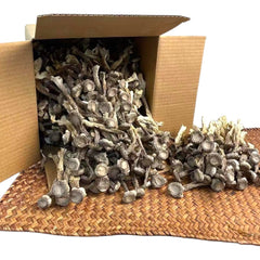 惠民堂 鹿茸菇 松茸菇 鹿花菇 健脾开胃 补虚益气 降脂降压 200克