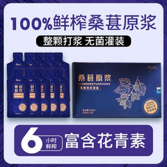 HMT Black Mulberry Concentrated Juice 350ml Hei Sang Shen