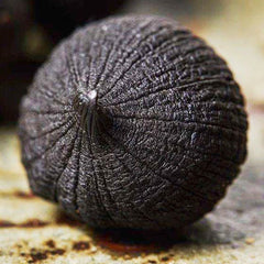 HMT Natural Black Garlic 200g Hei Suan