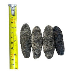 惠民堂 南美刺參 海參 純淡幹 髮率高 口感好 深海野生海參幹 幹海參 洪都拉斯荔枝參 冰參 靴參 幹貨400克