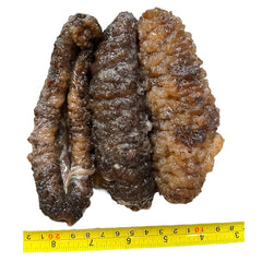 惠民堂 南美刺參 海參 純淡幹 髮率高 口感好 深海野生海參幹 幹海參 洪都拉斯荔枝參 冰參 靴參 幹貨400克