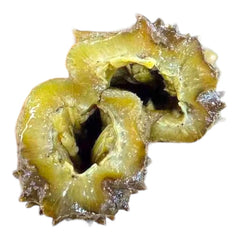 惠民堂 海參 龍尾參 龍紋參 純淡幹 螺紋參 黑刺參 長刺 泡髮率高 口感彈牙 幹貨 400克