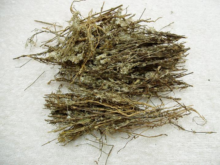 Bai Tou Weng (Pulsatilla Root) 4oz www.herbsf.com HUIMIN HERB | 惠民堂 | Huimin Herb Enterprise