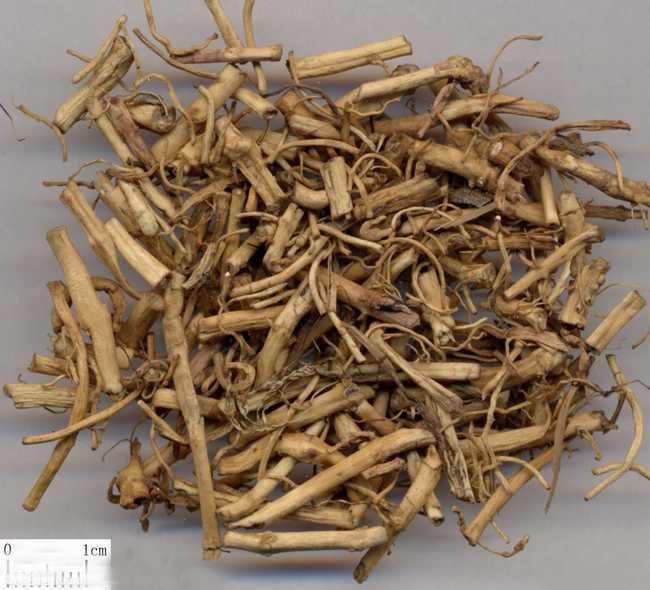 Bai Qian (Swallowwort Rhizome) 4oz www.herbsf.com HUIMIN HERB | 惠民堂 | Huimin Herb Enterprise