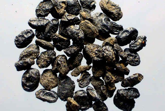 Dan Dou Chi (Prepared Soybean) 4oz - Huimin Herb Online, LLC