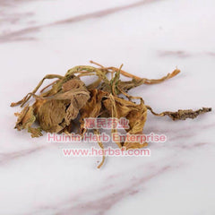Di Ding Cao 4oz - Huimin Herb Online, LLC