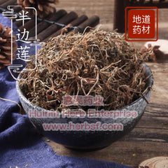 Ban Bian Lian 4oz www.herbsf.com HUIMIN HERB | 惠民堂 | Huimin Herb Enterprise