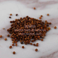 Dodder Seed 菟丝子