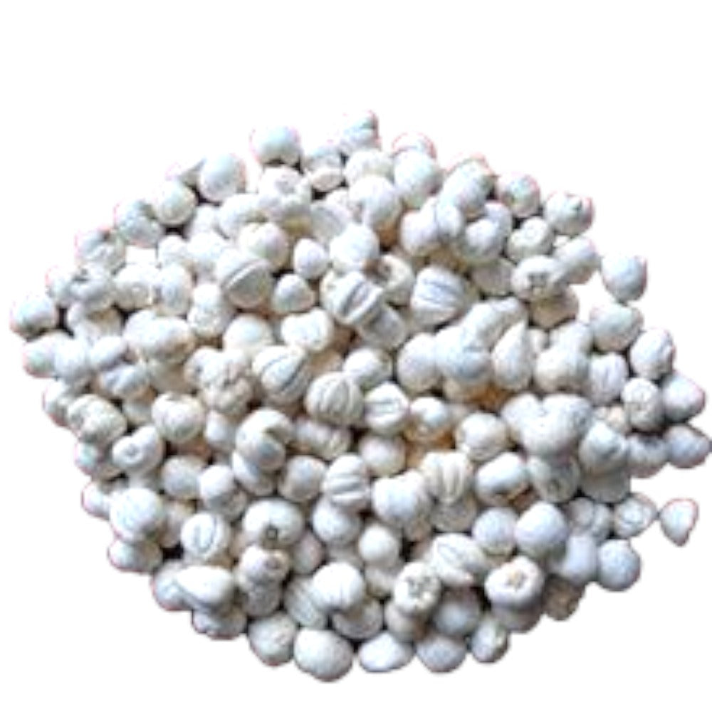 HMT Selected Pearl Chuanbei Chuan BeiMu Tendrilled Fritillary Bulb 30g