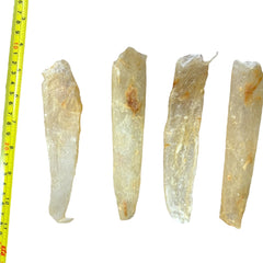 Huimin Herb Basa Fish Maw – Premium basa fish maw for nourishing health.
巴沙鱼花胶，富含胶原蛋白，适合煲汤滋补。