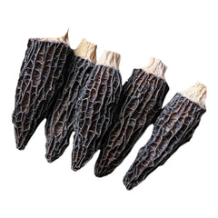HMT Yang Du Jun Dried Mushroom 225g for Immunity & Digestion 5-7CM