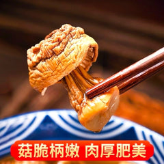 HMT Ji Song Rong 200g Dired Agaricus Blazei Mushroom Agaricus Blazei Murill