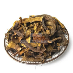 HMT Drynaria Rhizome (Gu Sui Bu) 100g – Bone Health & Herbal Support