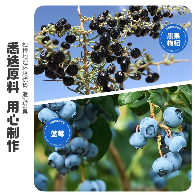 10送2 寧安堡 藍莓黑枸杞原漿 100% 無添加 花青素 營養原漿 易吸收 30ml