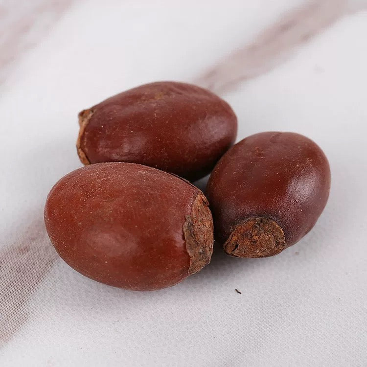 中药 荔枝核 Litchi Seed
