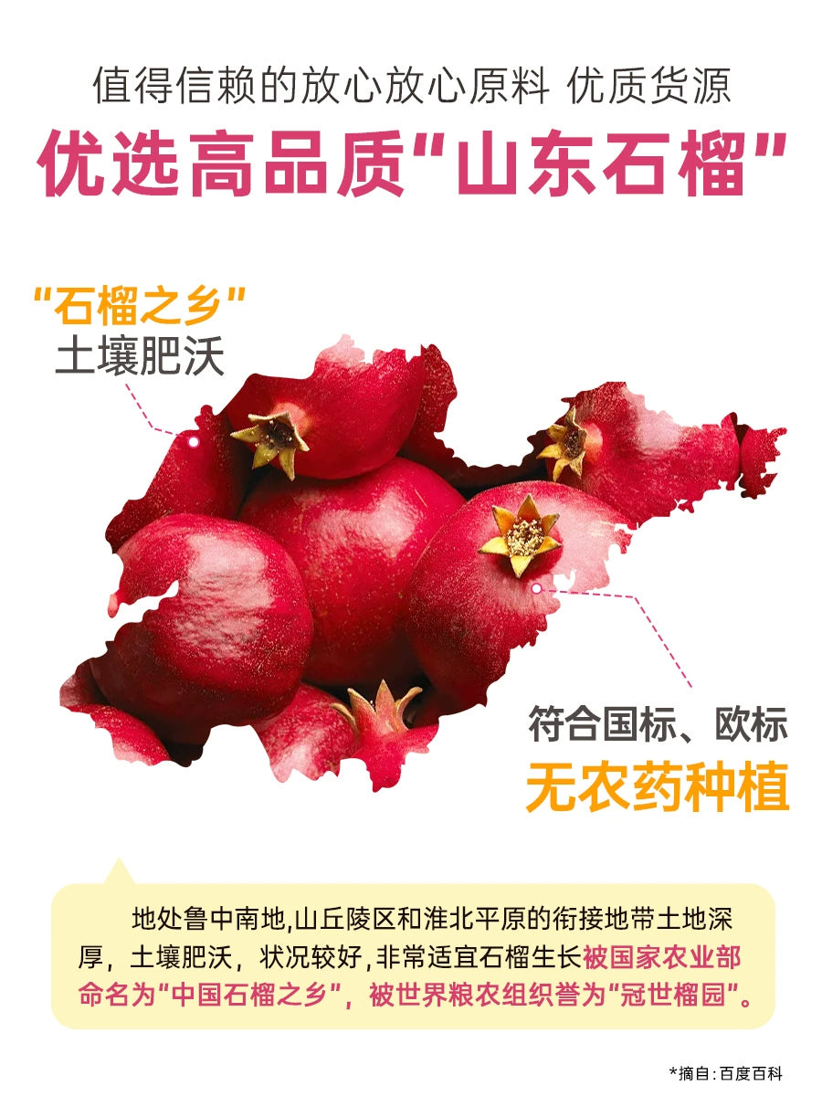 Keep Farm Pomegranate Powder From Nature 80g