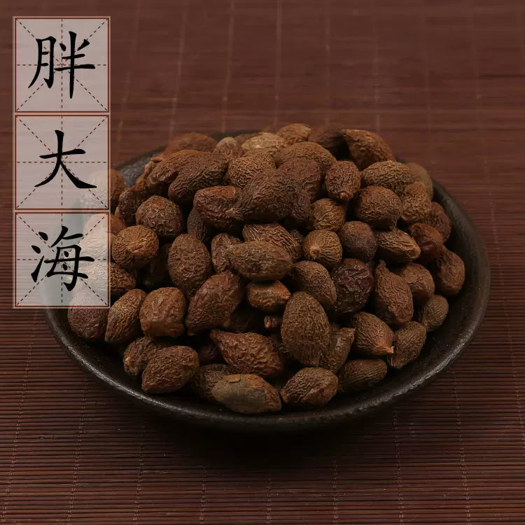 HMT Pang Da Hai Boat Sterculia Seed 100g for Throat Health