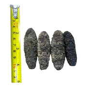 HMT South America Sea Cucumber Dired 400g