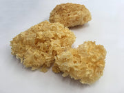 Yin Er 2 oz - Huimin Herb Online, LLC
