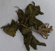 Chou Wu Tong (Glorybower Leaf) 4oz - Huimin Herb Online, LLC