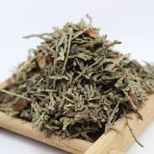 Ce Bai Ye (Biota Tops) 4oz - Huimin Herb Online, LLC