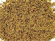 Bai Jie Zi (White Mustard Seed) 4oz www.herbsf.com HUIMIN HERB | 惠民堂  | Huimin Herb Enterprise