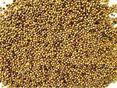Bai Jie Zi (White Mustard Seed) 4oz www.herbsf.com HUIMIN HERB | 惠民堂  | Huimin Herb Enterprise