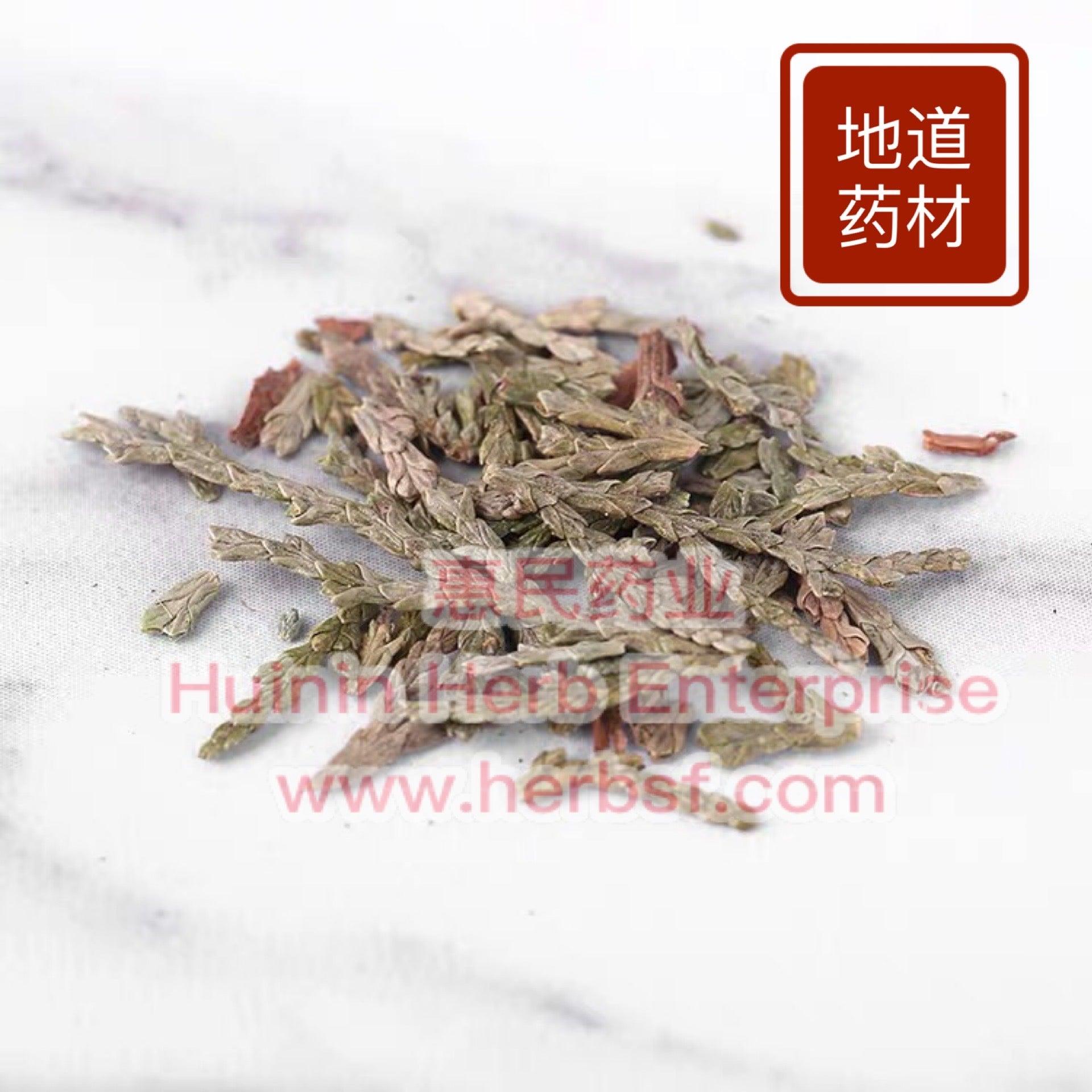 Ce Bai Ye (Biota Tops) 4oz - Huimin Herb Online, LLC