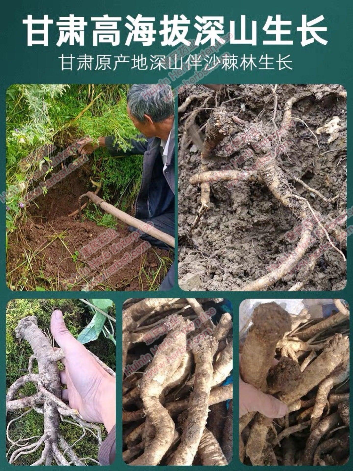 Dang Shen (Pilose Asiabell Root) 4oz - Huimin Herb Online, LLC