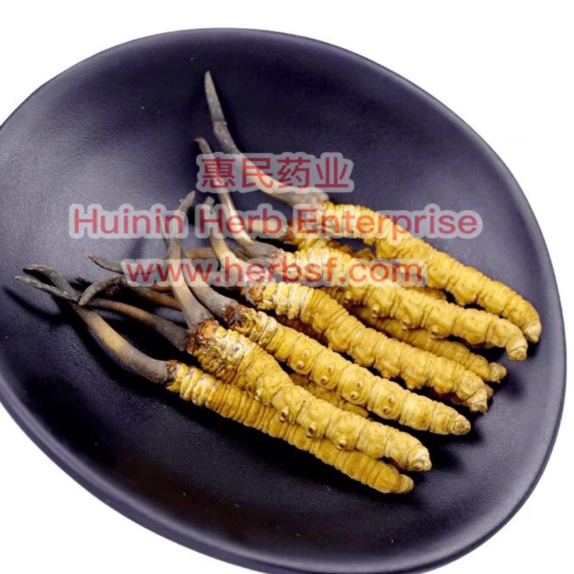 Cordyceps 4A - Huimin Herb Online, LLC