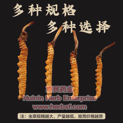 Cordyceps 4A - Huimin Herb Online, LLC