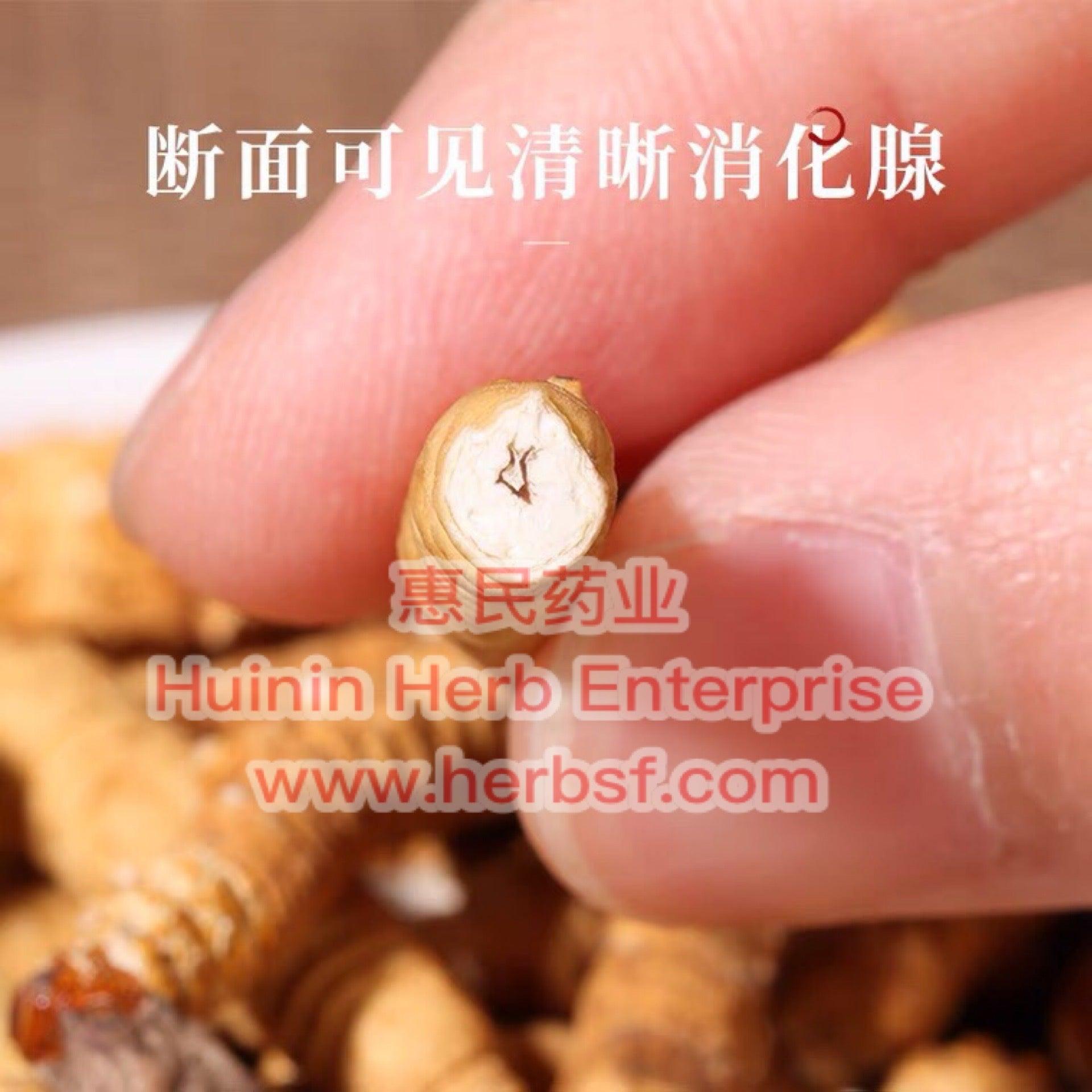 Cordyceps 4A - Huimin Herb Online, LLC