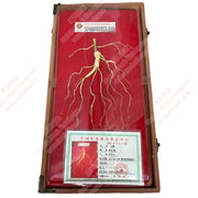 Chang Bai Shan Ye Shan Shen - Huimin Herb Online, LLC