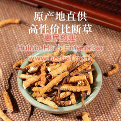 Cordyceps A - Huimin Herb Online, LLC