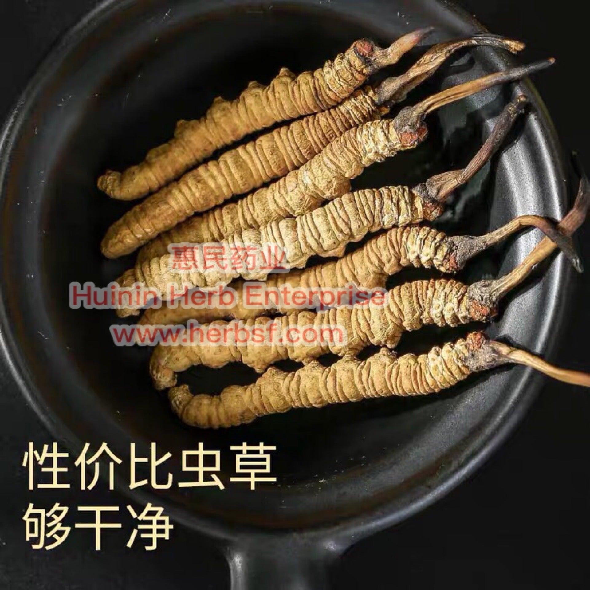 Cordyceps 3A - Huimin Herb Online, LLC