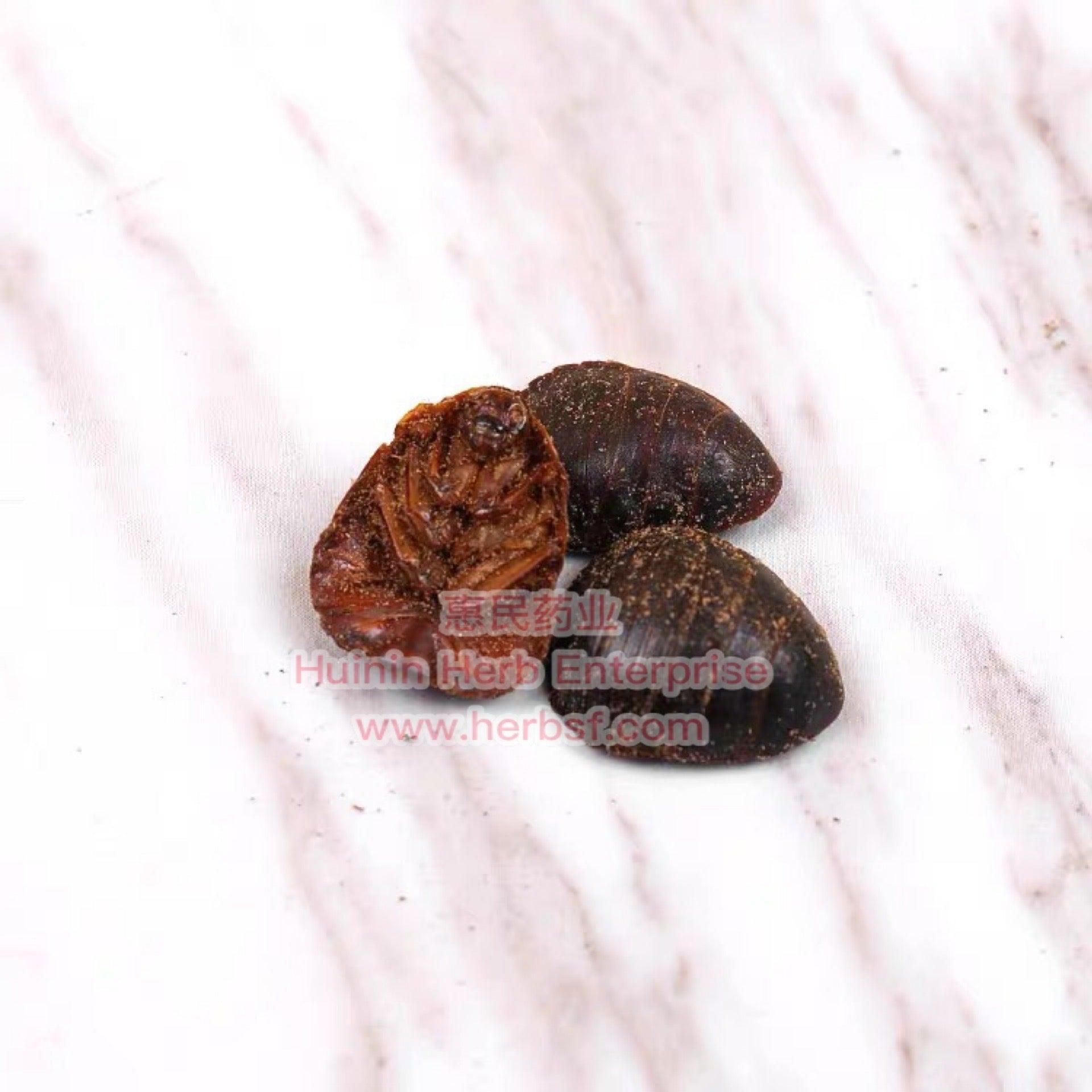 Tu Bie Chong 1oz - Huimin Herb Online, LLC