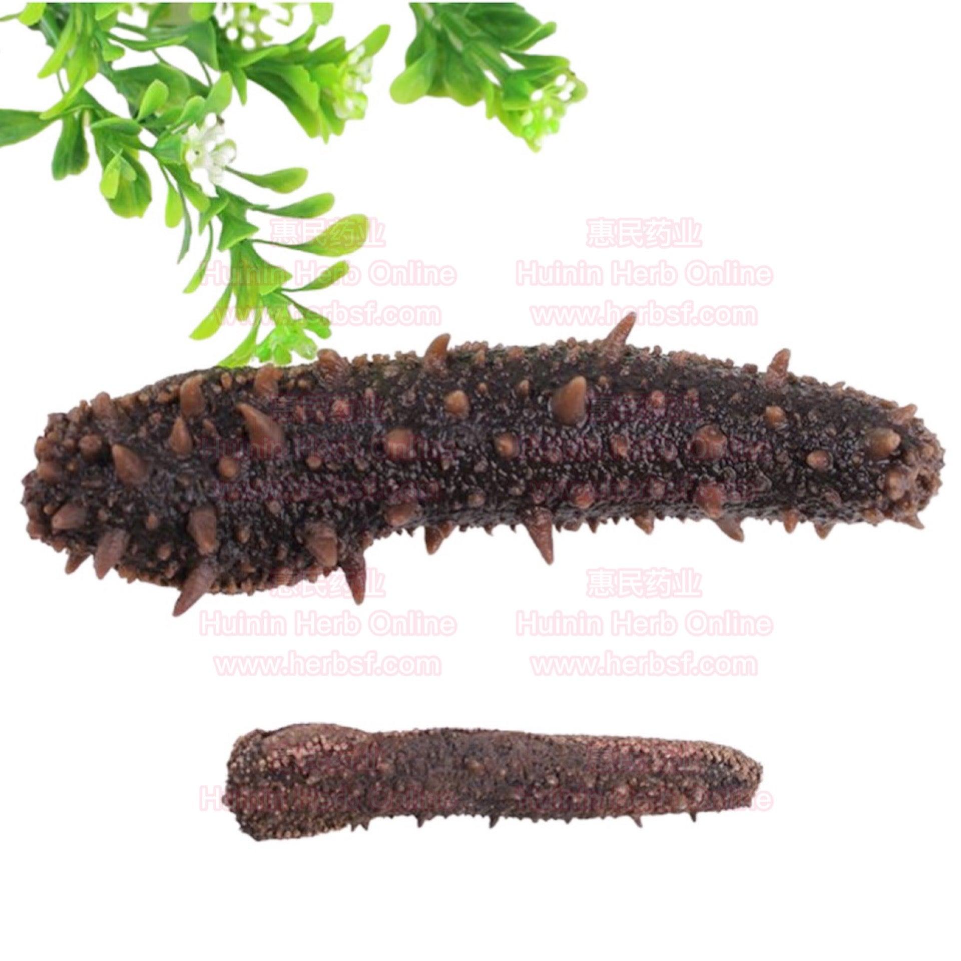 Alaska Dry Sea Cucumber 1lb