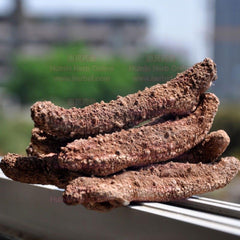 Alaska Dry Sea Cucumber 1lb