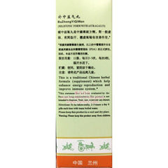 Central Qi Teapills (Bu Zhong Yi Qi Wan) (200 Pills) - Huimin Herb Online, LLC